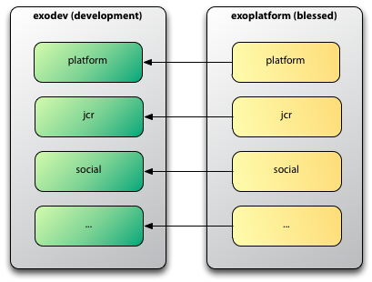 Git Organization